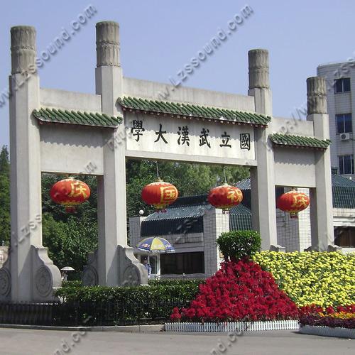 國立武漢大學( 視頻會議系統)